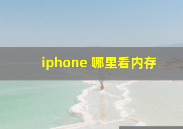 iphone 哪里看内存